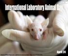 Международный день лабораторных животных